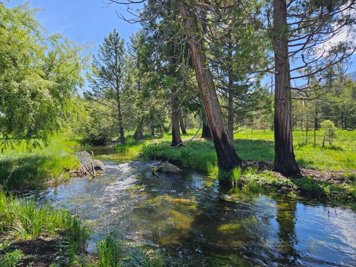 The Black Forest Lodge Red Bluff Dış mekan fotoğraf